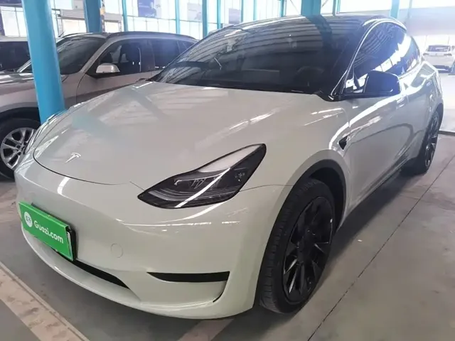 Tesla Model Y 2022 Rear-Wheel Drive Version