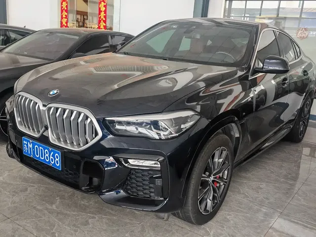 BMW X6 2020 xDrive30i M Sport Package