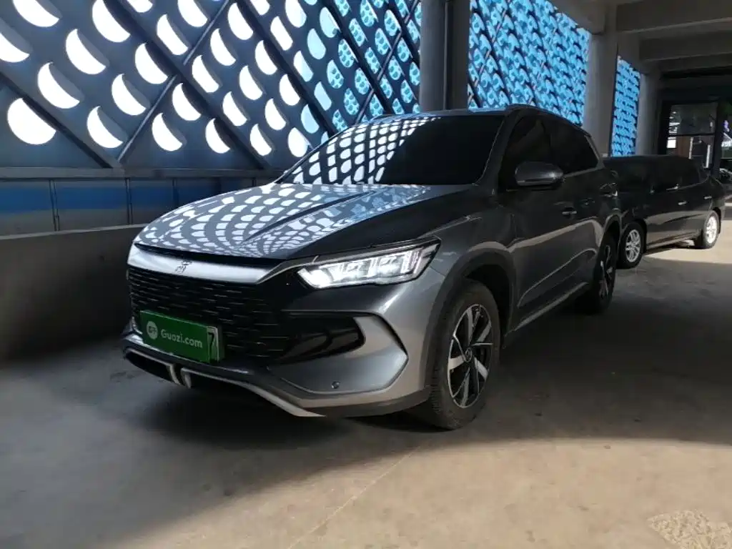 BYD Song Pro New Energy 2024 Glory Edition DM-i 71KM Pilot