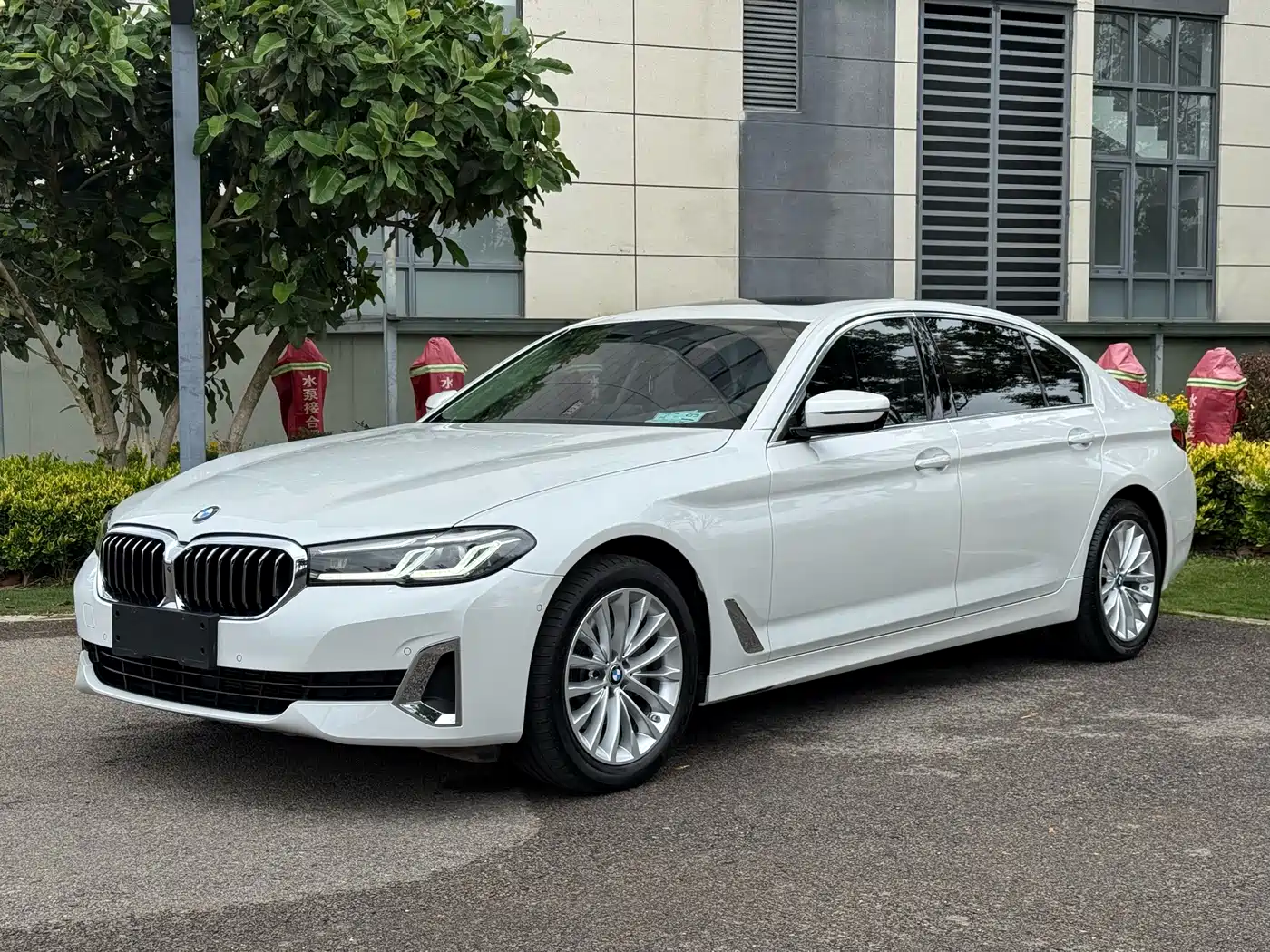 BMW 5 Series 2021 530Li Leading Luxury Package