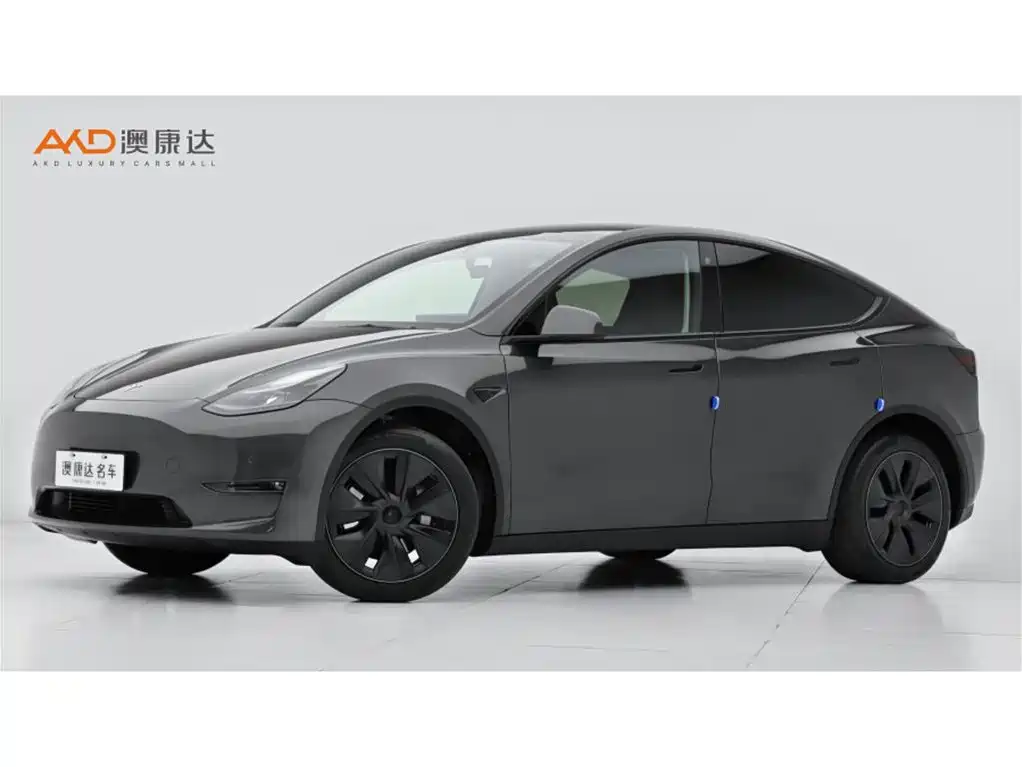 Tesla Model Y 2024 Rear-Wheel Drive Version