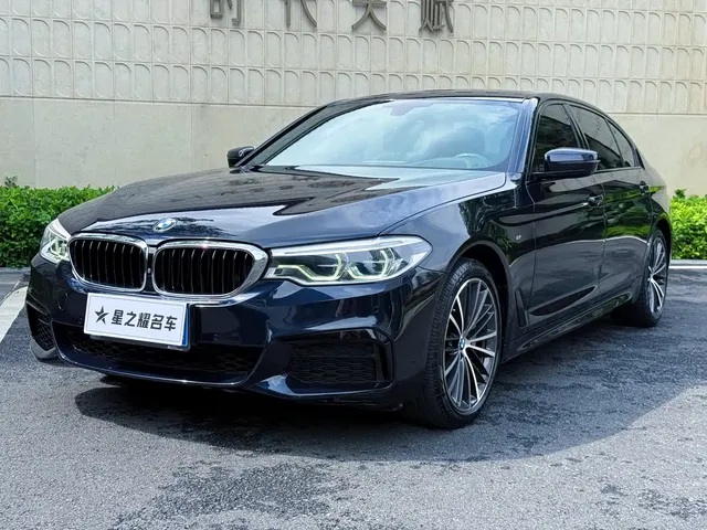 BMW 5 Series 2019 530Li Premium M Sport Package