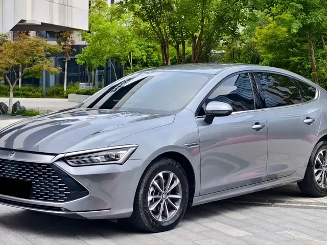 BYD Qin PLUS 2024 Glory Edition DM-i 55KM Leading