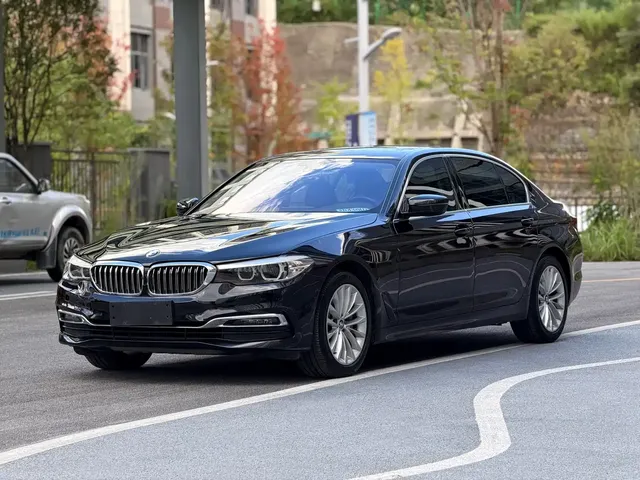 BMW 5 Series 2019 530Li Leading Luxury Package