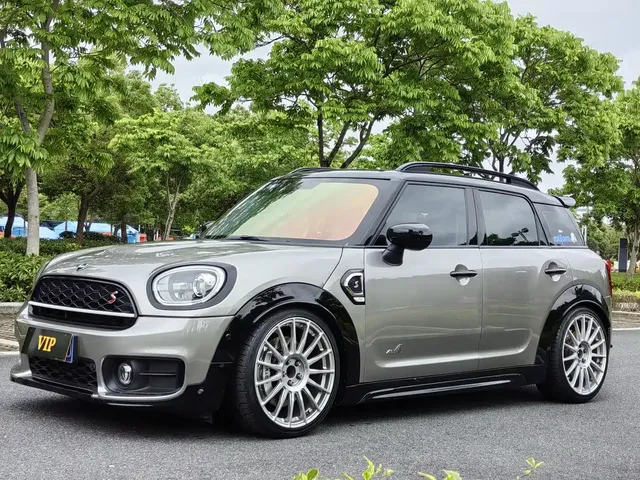 MINI COUNTRYMAN 2019 2.0T COOPER S ALL4 Artist