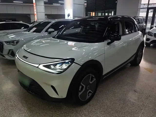 smart Elf #1 2022 Pro+ Edition