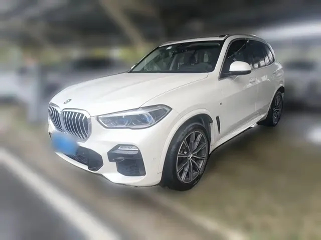 BMW X5 (Import) 2019 xDrive40i M Sport Package
