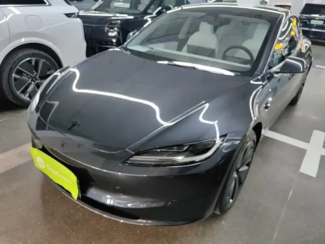 Tesla Model 3 2025 Model Rear-Wheel Drive Edition