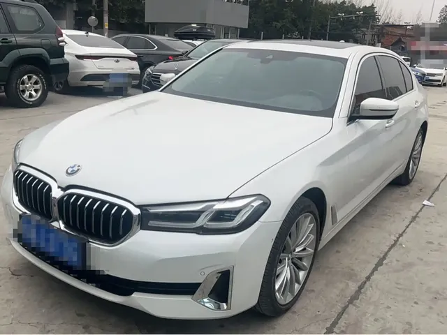 BMW 5 Series 2020 530Li Premium Luxury Package