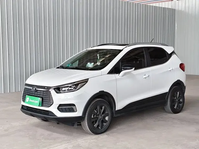 BYD Yuan New Energy 2019 EV535 Smart Connected Innovation Leader Type