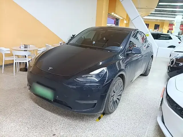 Tesla Model Y 2021 Standard Range Rear-Wheel Drive
