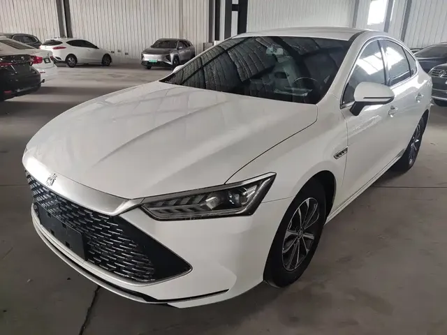BYD Qin PLUS 2023 Champion Edition DM-i 55KM Leading