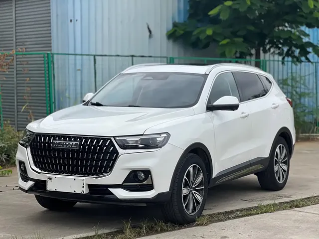 Haval H6 2023 National Trend Edition 1.5T Automatic Champion