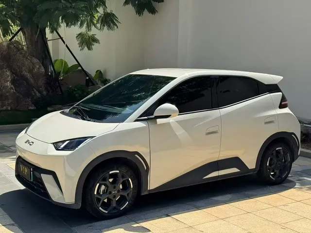 BYD Seagull 2024 Glory Edition 305km Freedom Edition