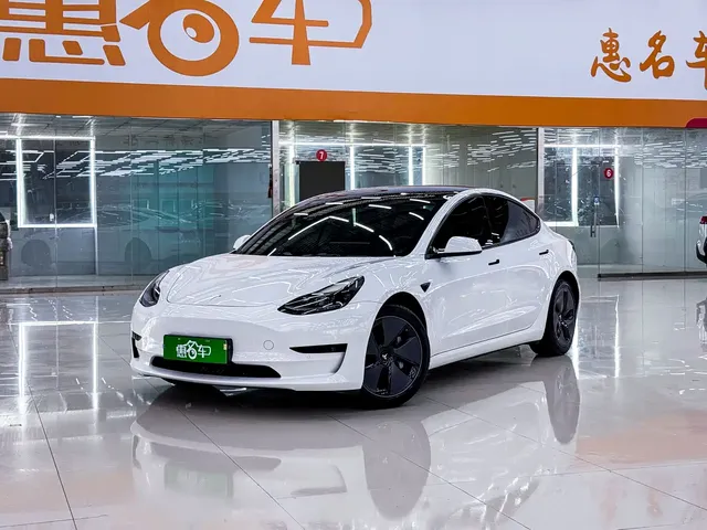 Tesla Model 3 2021 Standard Range Rear-Wheel Drive Upgrade 3D6
