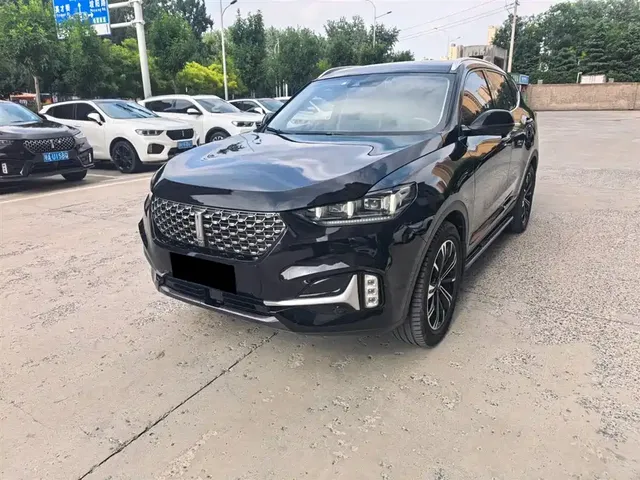WEY VV6 2021 2.0T 2WD Smart Protection+