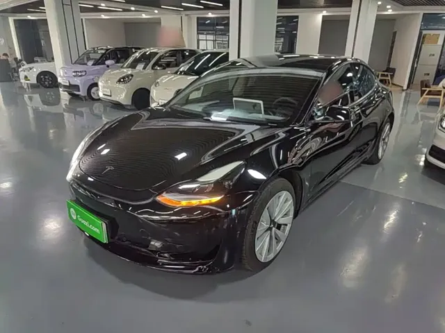 Tesla Model 3 2021 Standard Range Rear-Wheel Drive Upgrade