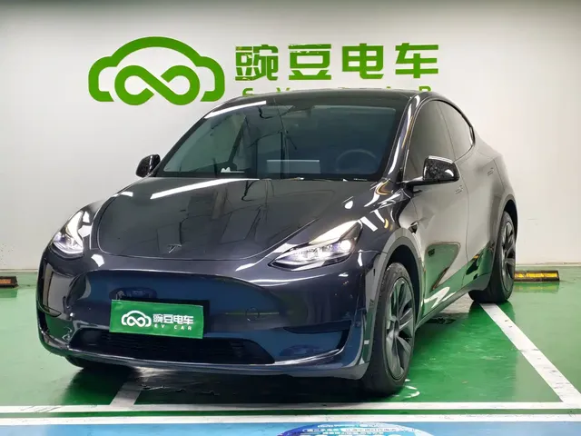 Tesla Model Y 2024 Rear-Wheel Drive Version