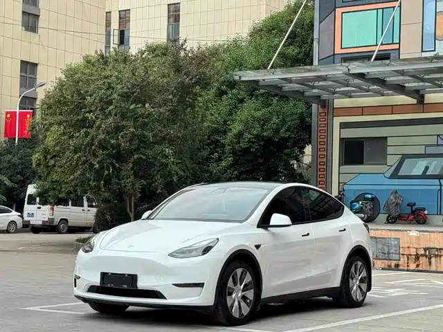 Tesla Model Y 2021 Long Range All-Wheel Drive 3D7