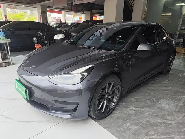 Tesla Model 3 2021 Standard Range Rear-Wheel Drive Upgrade 3D6