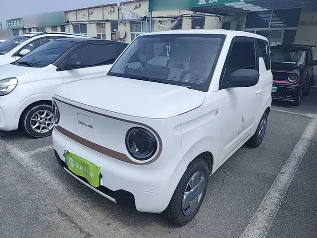 Geely Galaxy Panda 2025 Panda mini 210km Vitality Bear