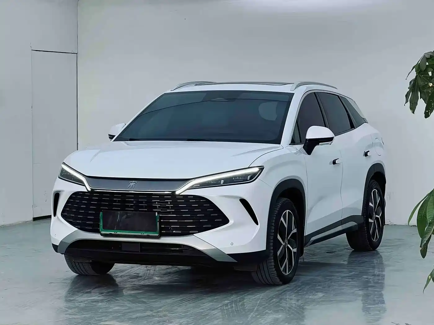 BYD Song L DM-i 2024 160km Superior