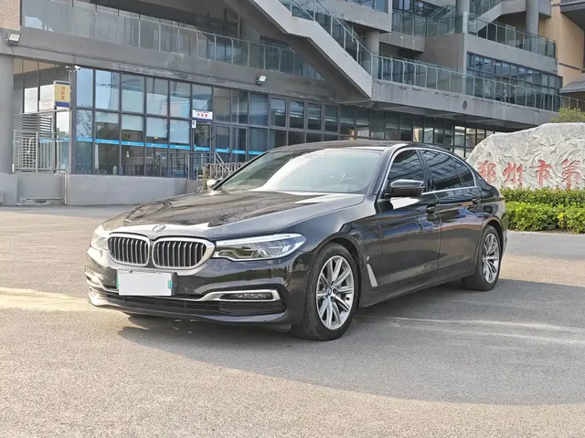 BMW 5 Series New Energy 2019 530Le Luxury Package