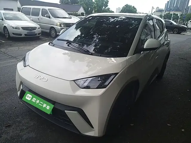 BYD Seagull 2024 Glory Edition 305km Vitality Edition