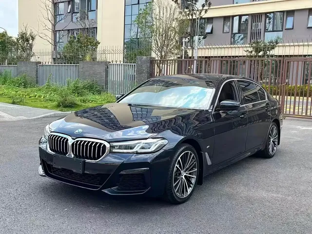 BMW 5 Series 2022 530Li Leading Luxury Package