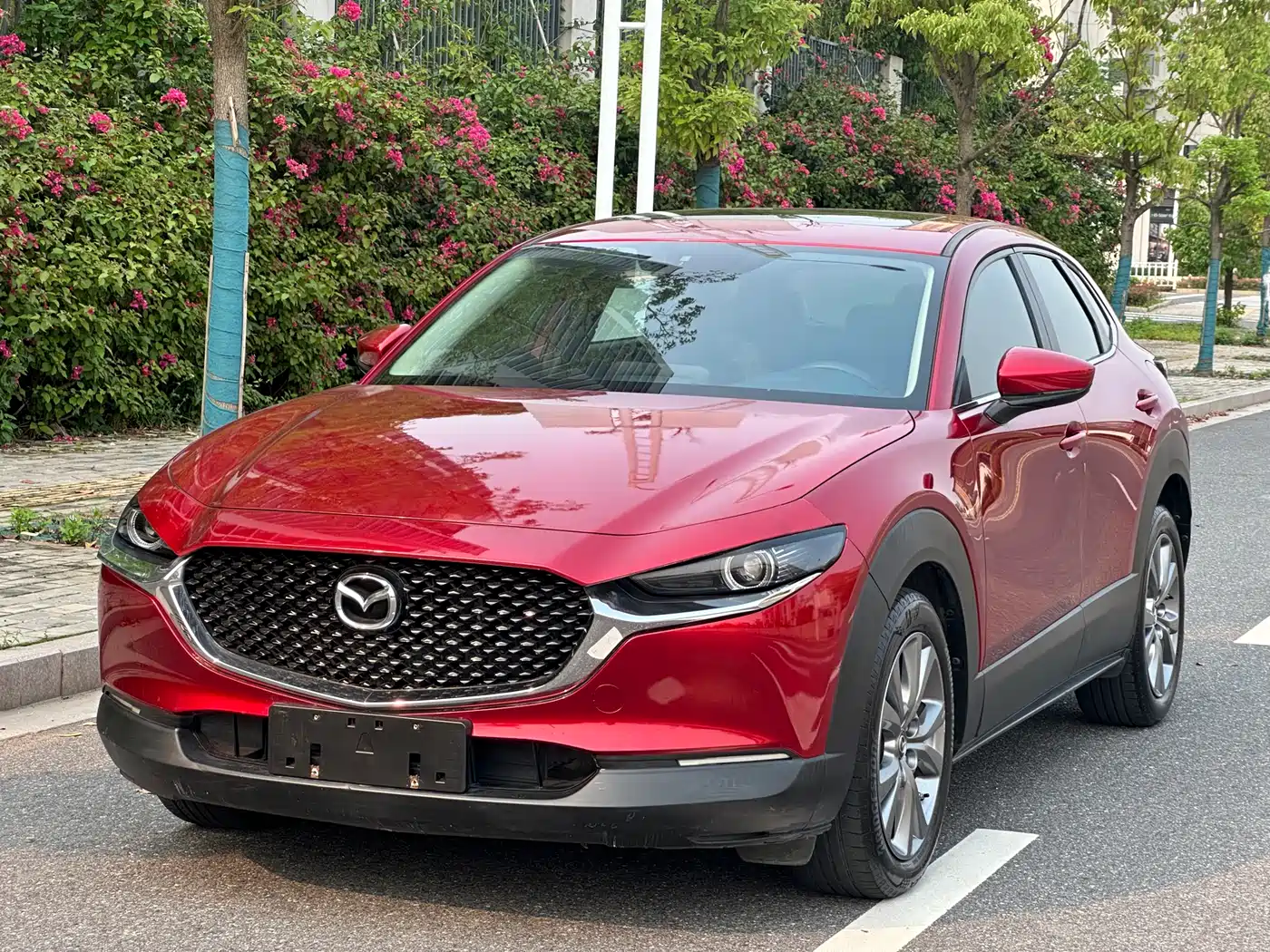 Mazda CX-30 2020 Model 2.0L Automatic Jiayue