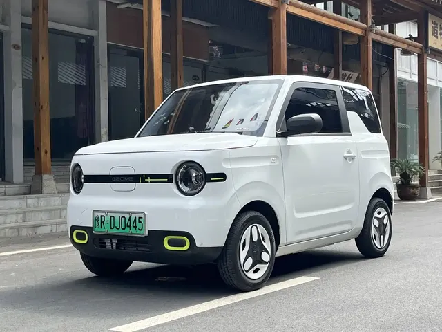 Geely Galaxy Panda 2025 Panda mini 210km Vitality Bear