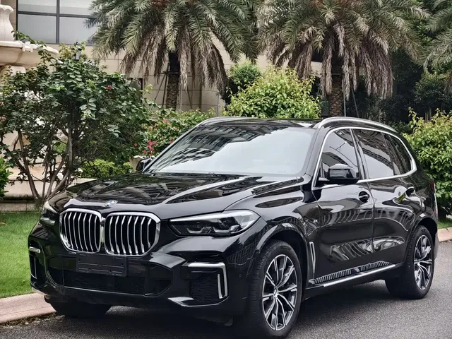 BMW X5 2022 xDrive 30Li M Sport Package