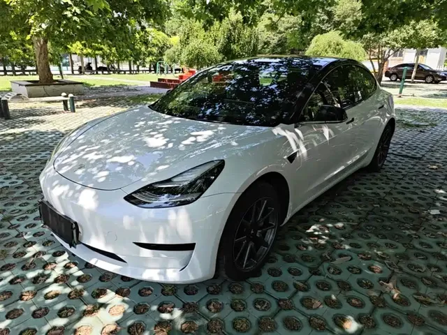 Tesla Model 3 2019 Standard Range Rear-Wheel Drive Upgrade