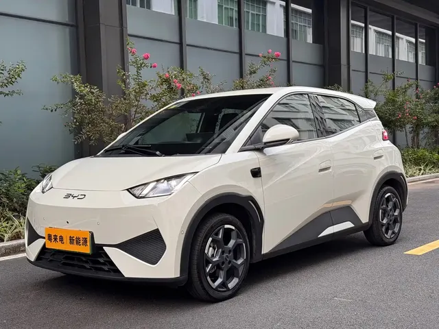 BYD Seagull 2025 Smart Drive Edition 305km Vitality Version