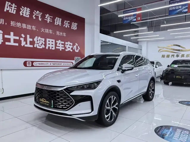 BYD Tang New Energy 2025 Smart Driving Edition DM-i 115KM Honor