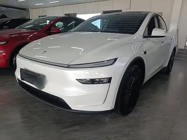 Tesla Model Y 2025 Long Range All-Wheel Drive