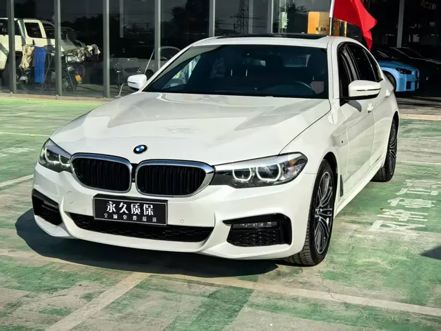 BMW 5 Series 2019 530Li Leading M Sport Package