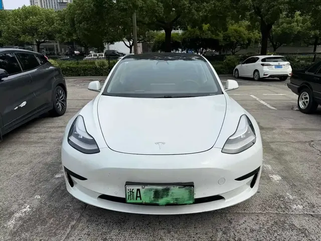 Tesla Model 3 2020 Facelift Standard Range RWD Upgrade