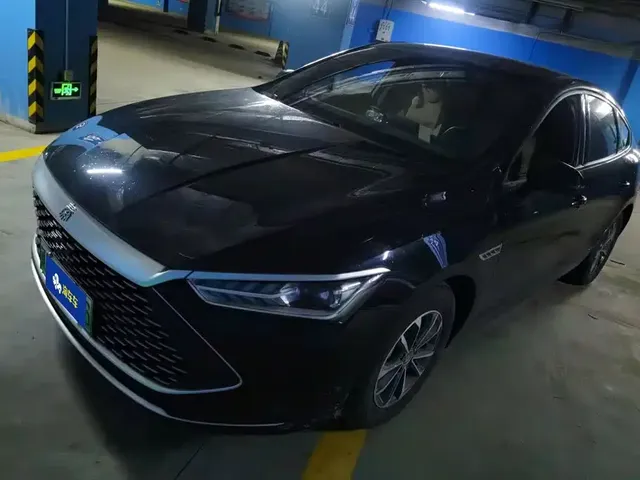 BYD Qin PLUS 2024 Glory Edition DM-i 55KM Leading