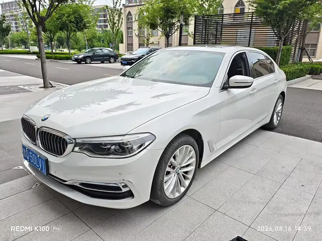 BMW 5 Series 2020 530Li Premium Luxury Package