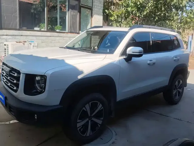 Haval Big Dog 2021 1.5T DCT 2WD Labrador Edition