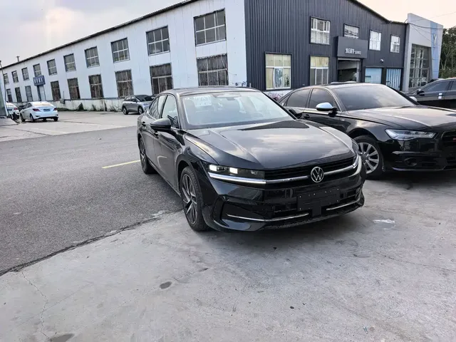 Volkswagen Magotan 2024 380TSI DSG Ultimate Edition