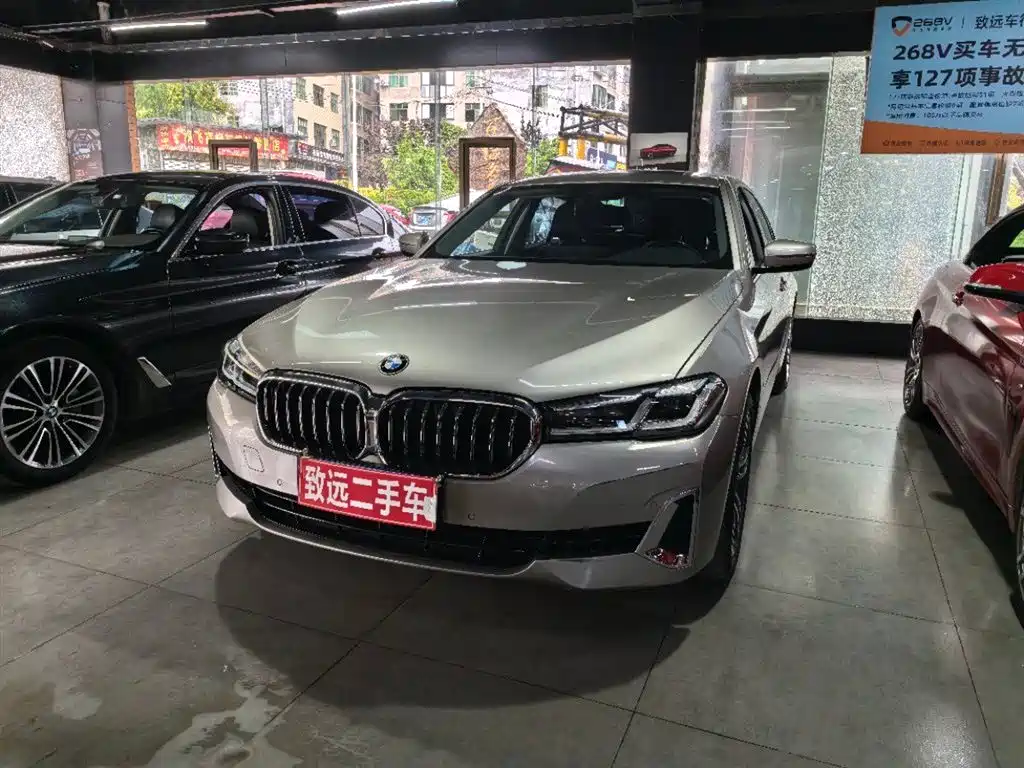 BMW 5 Series 2021 530Li Leading Luxury Package
