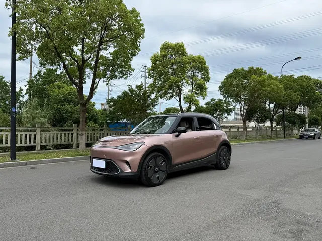 smart Elf #1 2022 Premium Edition