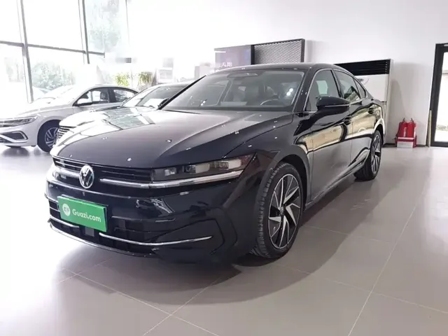 Volkswagen Magotan 2024 380TSI DSG Ultimate Edition