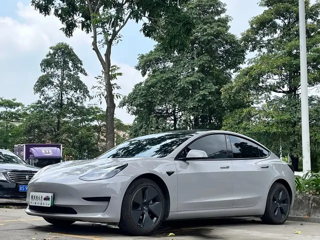 Tesla Model 3 2022 Model Rear-Wheel Drive Version