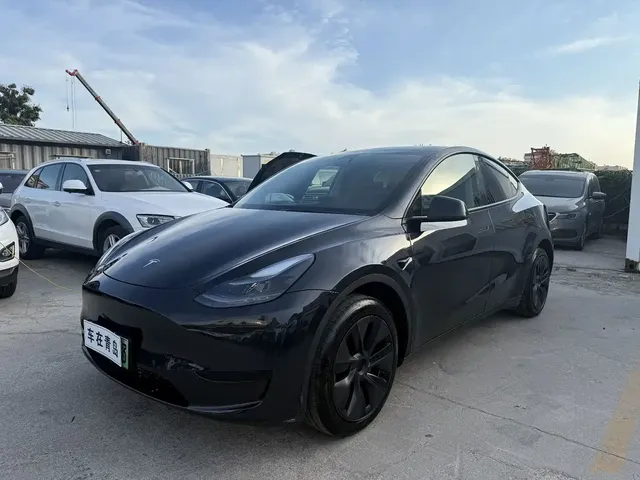 Tesla Model Y 2024 Rear-Wheel Drive Version
