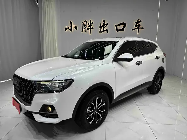Haval H6 2023 National Trend Edition 1.5T Automatic Urban
