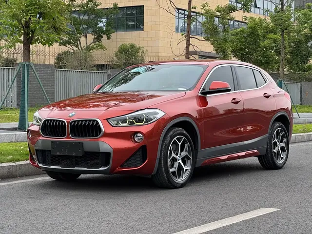 BMW X2 (Import) 2019 sDrive20i M Off-Road Package China VI