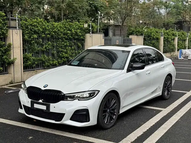 BMW 3 Series 2020 320Li M Sport Package